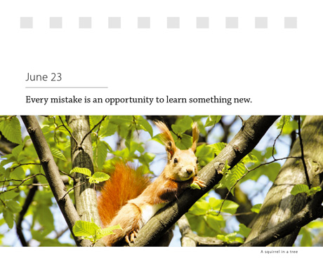 Mottos for Success Calendar: June 23, Page 179 - Squirrel in a tree